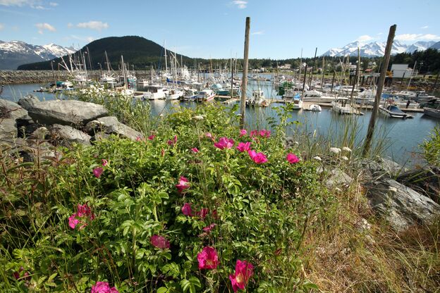 Impressionen aus Alaska Impressionen aus Alaska