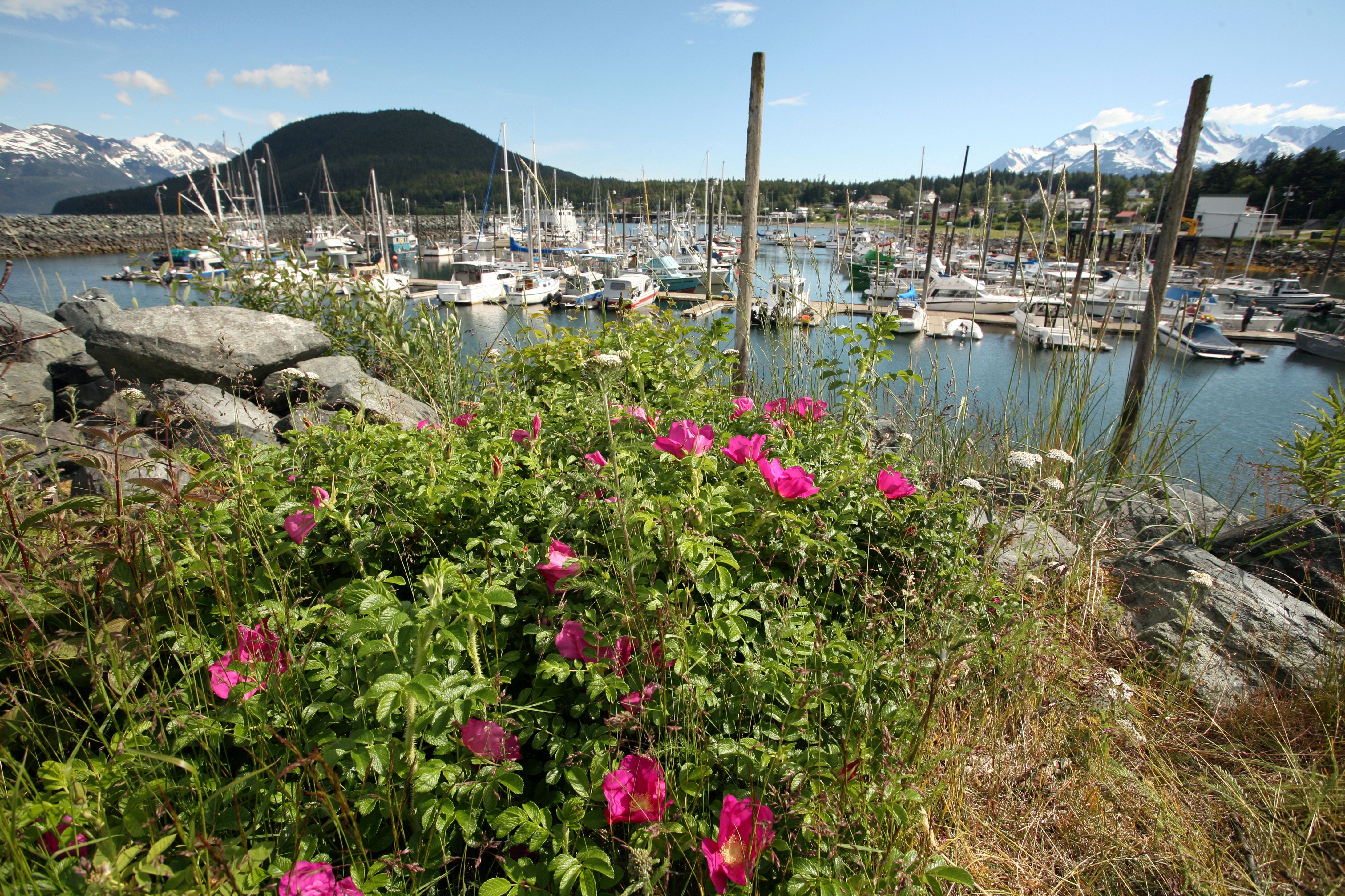 Impressionen aus Alaska