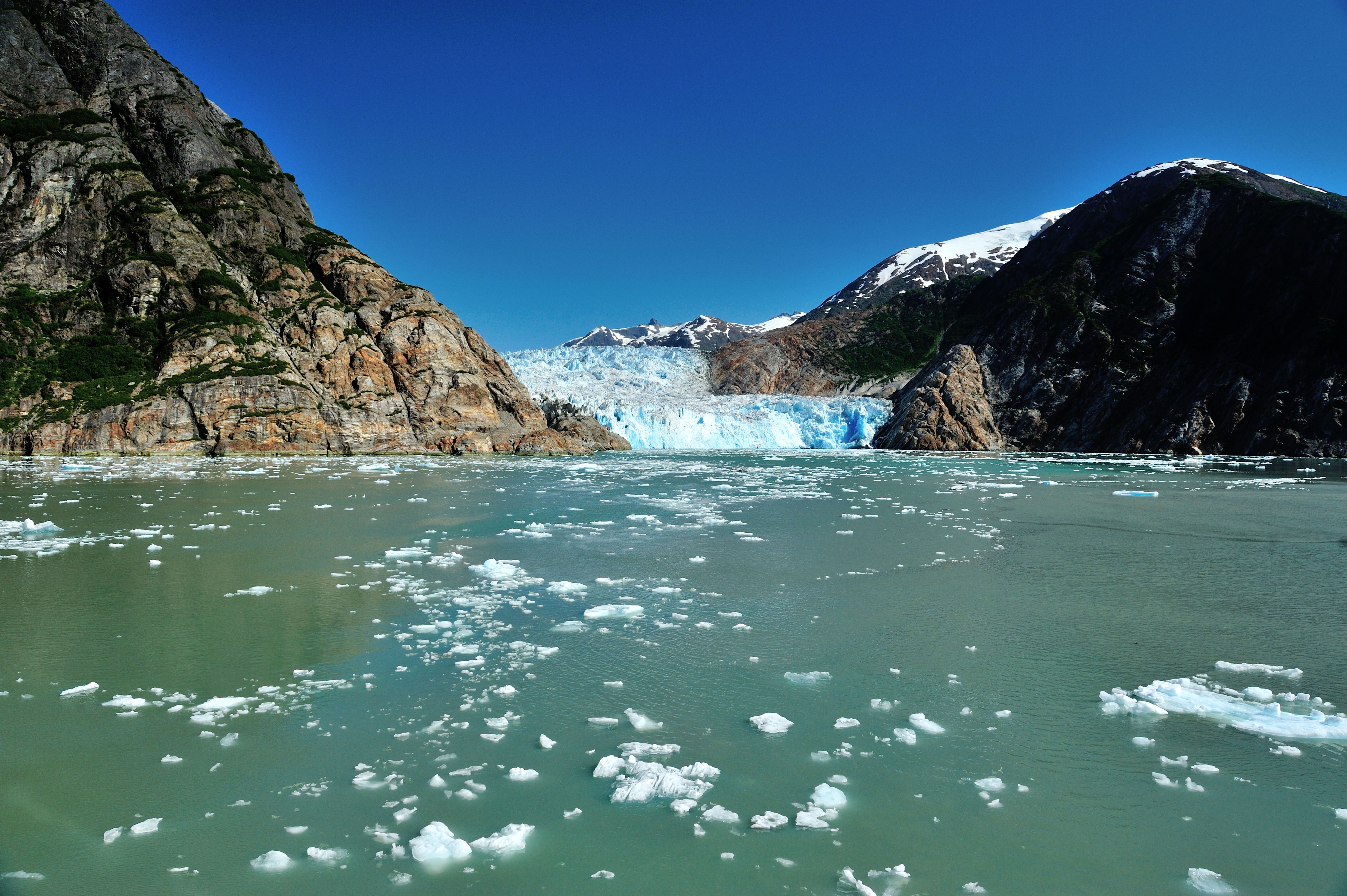 Der Fjord Tracy Arm, Alaska