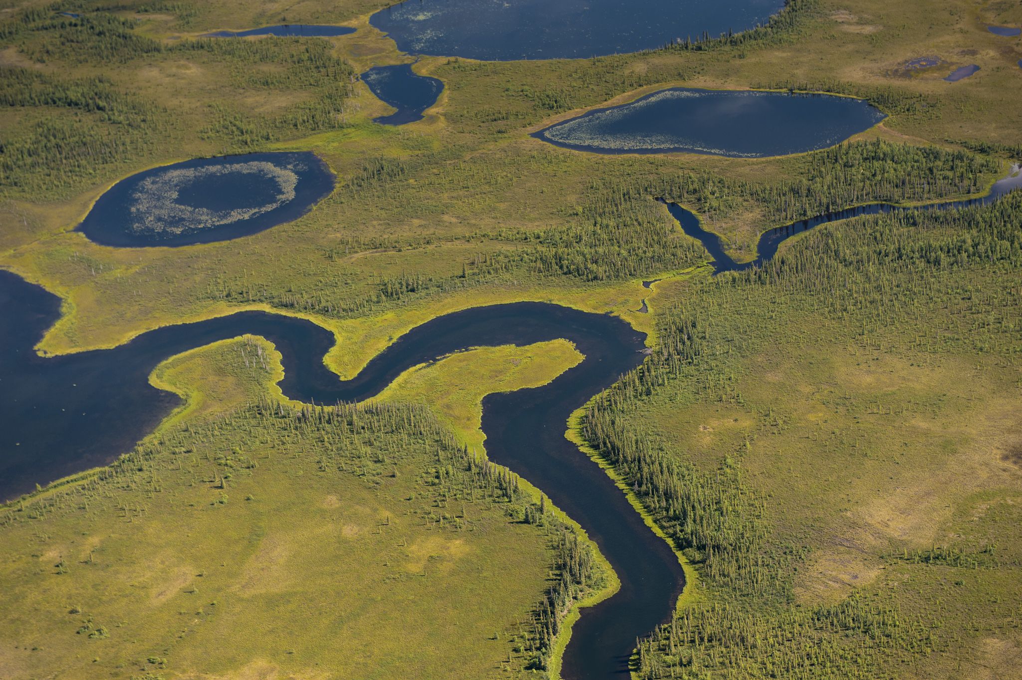 Kobuk Valley National Park: Flusslandschaften