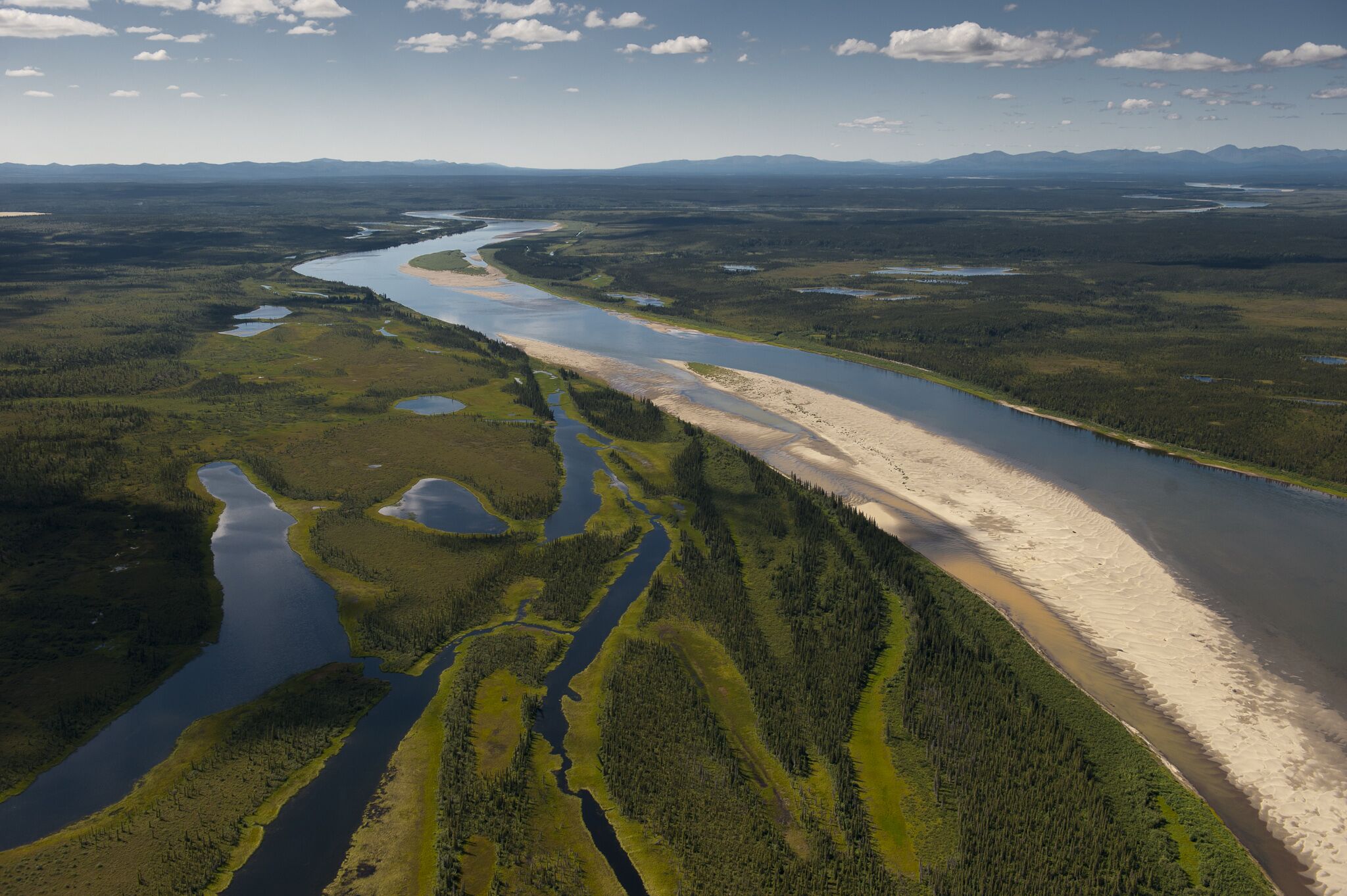 Der Flusslauf des Kobuk River im Kobuk Valley Nationalpark