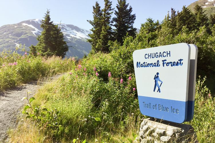 Beschilderung fÃ¼r den Chugach National Forest