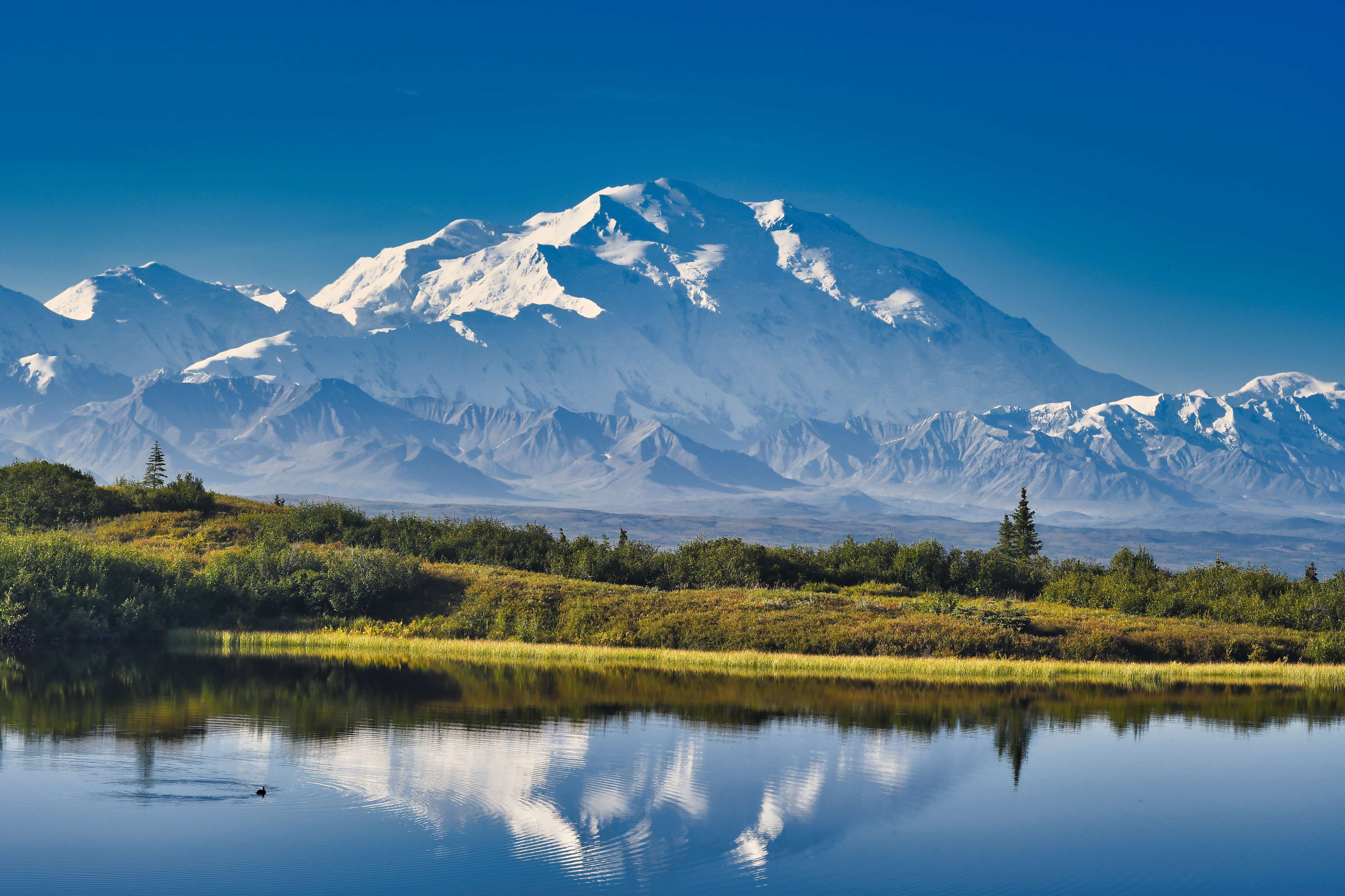 Traumhafter Blick auf den Mount Denali im Denali National Park in Alaska