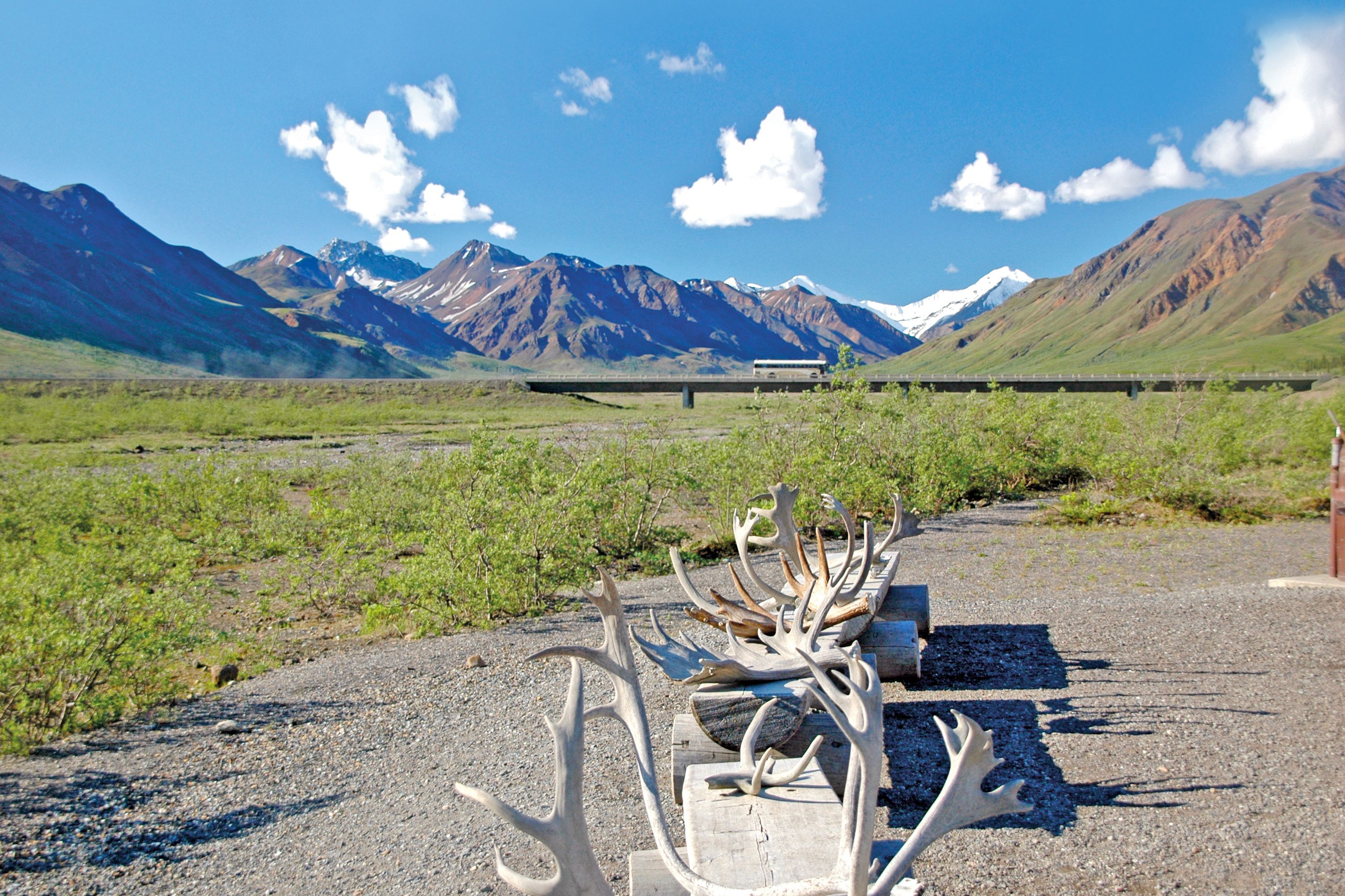 Unterwegs im Denali National Park