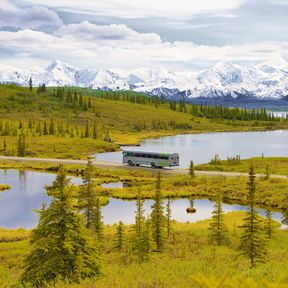 Pursuitcollection - Mit dem Bus durch den Denali National Park in Alaska