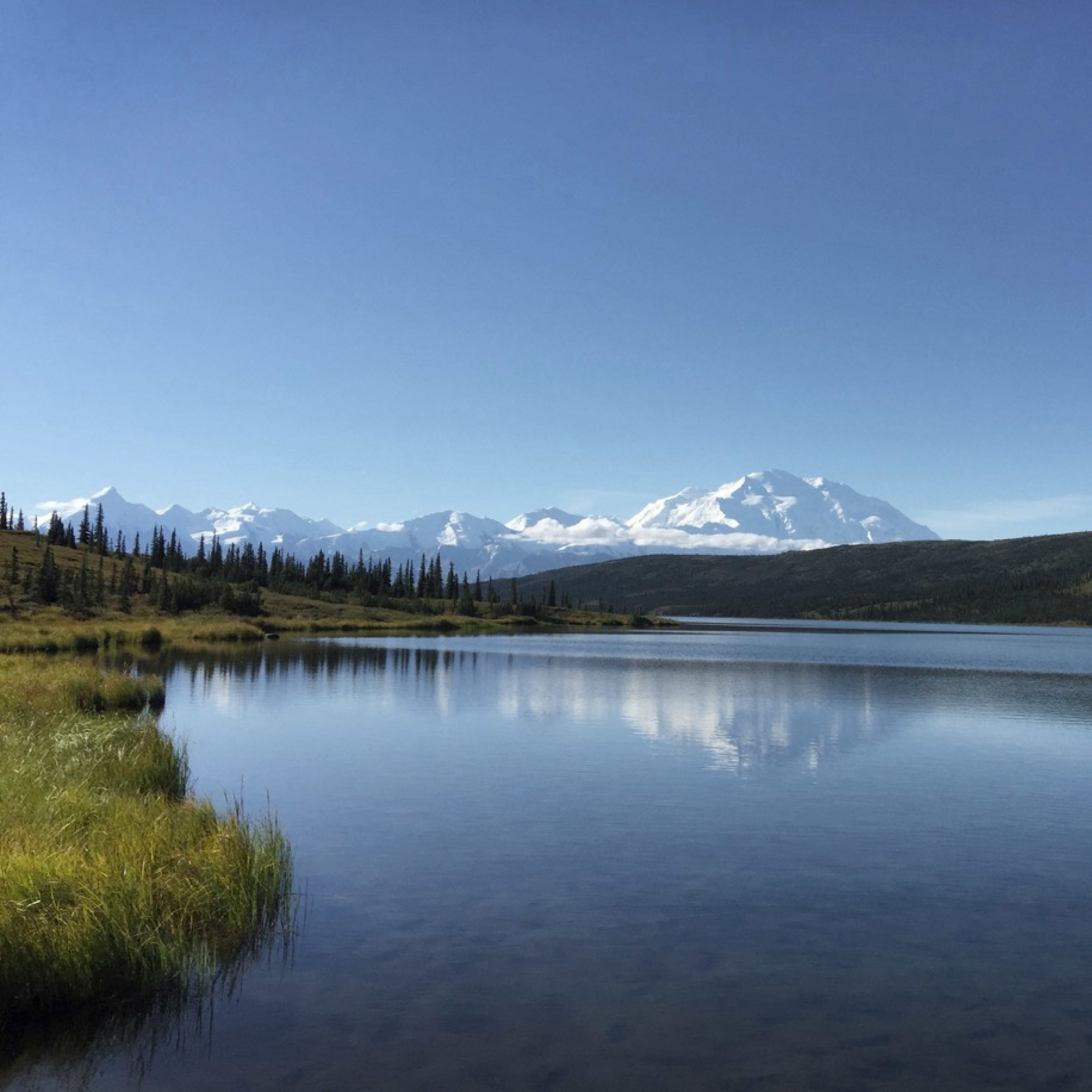 Blick auf den Denali Berg in Alaska