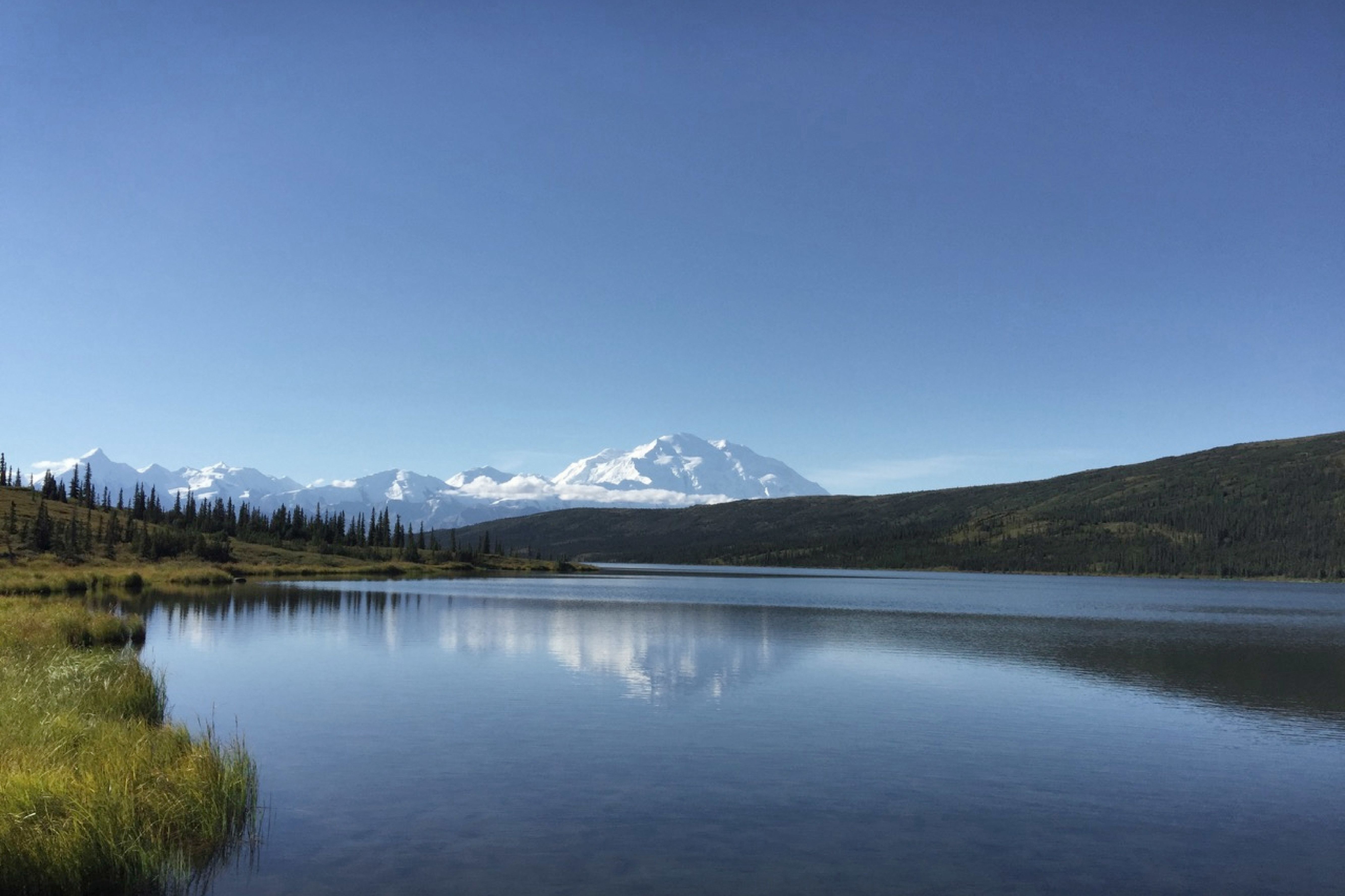 Blick auf den Denali Berg in Alaska