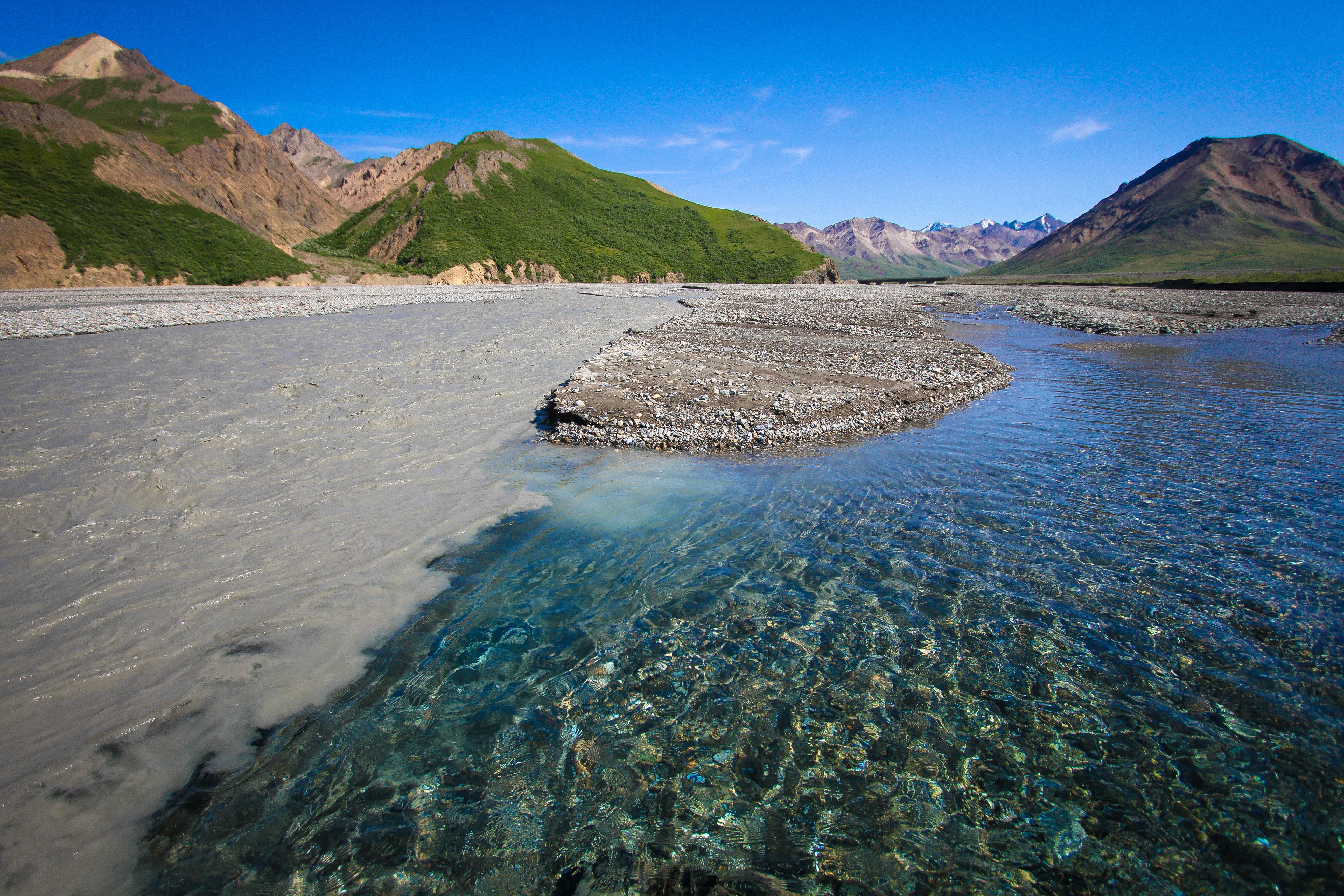 Landschaft im Denali National Park