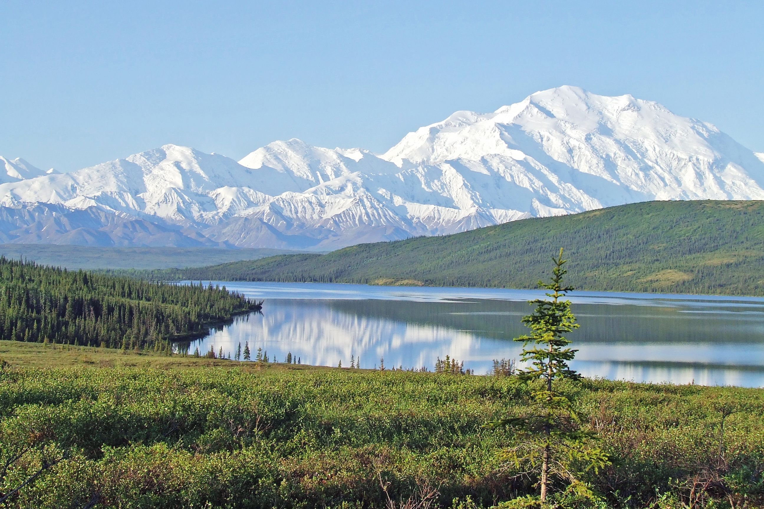 Blick auf den Mount Denali in Alaska