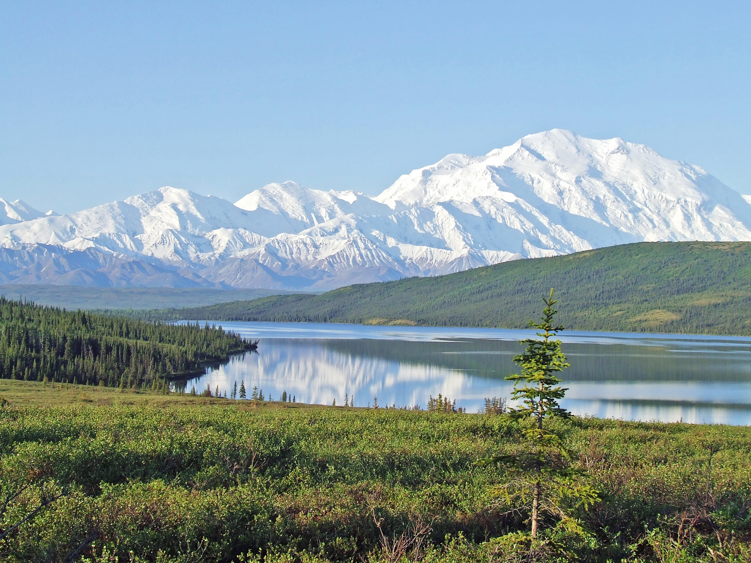 Blick auf den Mount Denali in Alaska