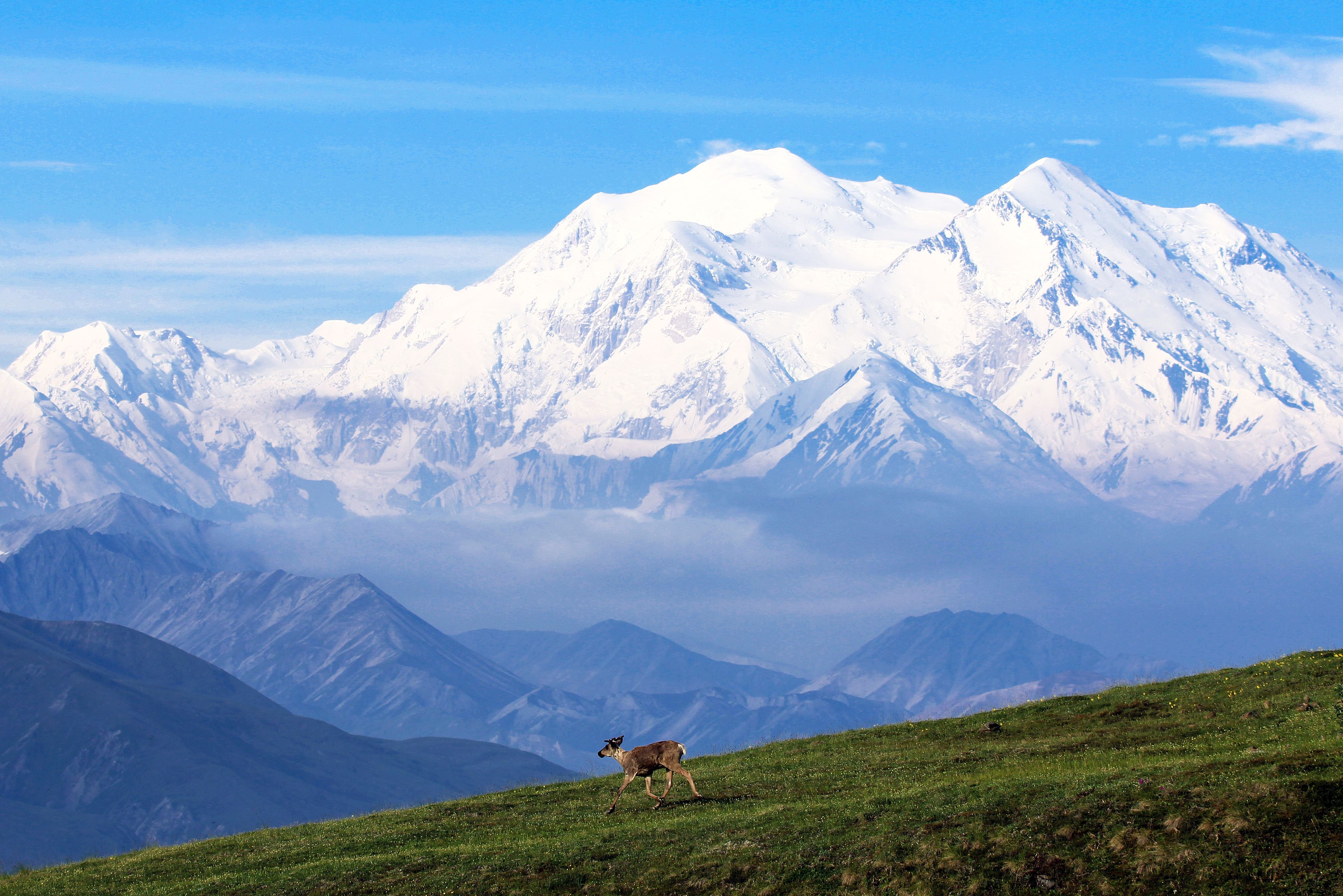 Blick auf den Berg Denali
