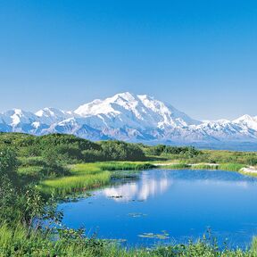 Blick auf den Mount Denali im Denali National Park