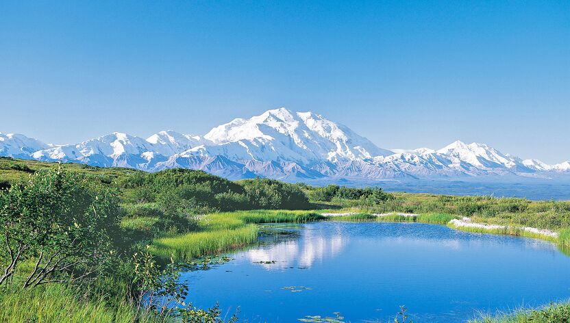 Blick auf den Mount Denali im Denali National Park Blick auf den Mount Denali im Denali National Park