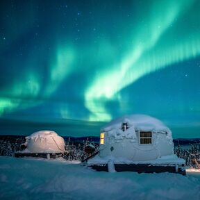 Polarlichter über dem Borealis Basecamp in Fairbanks, Alaska Polarlichter über dem Borealis Basecamp in Fairbanks, Alaska