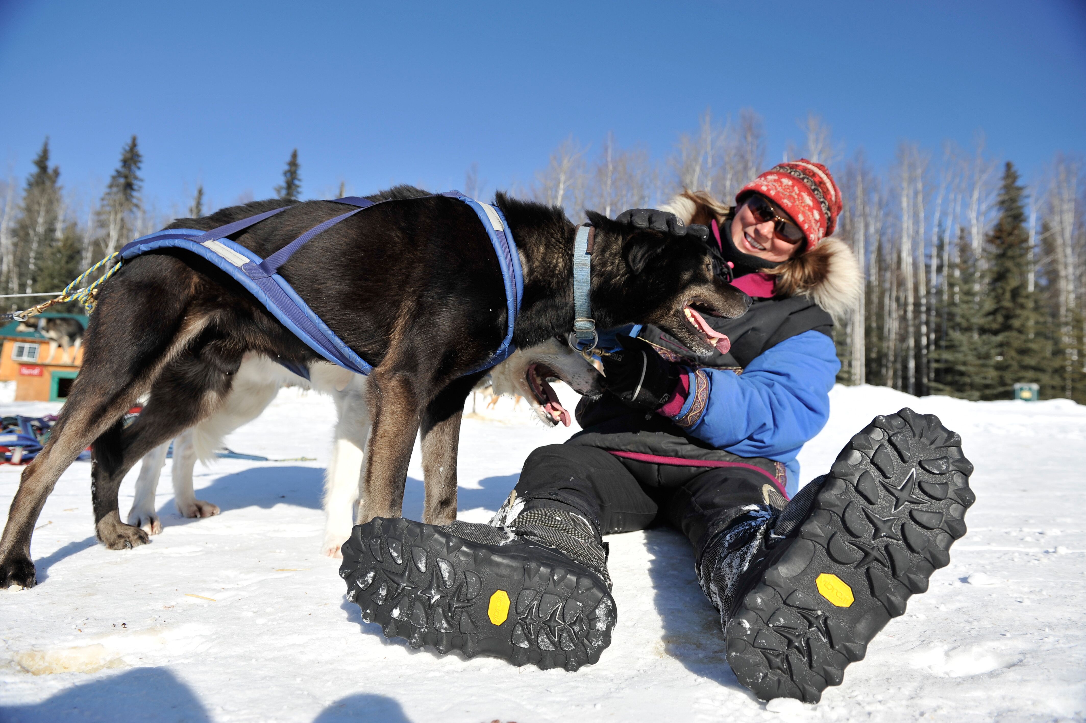 Schlittenhund mit Frauchen in Fairbanks, Alaska