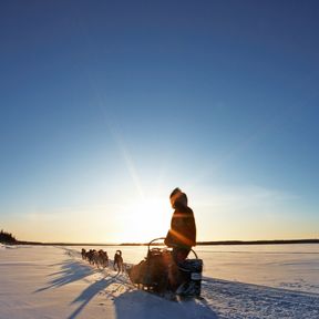 Hundeschlittenfahrt bei Galena, Alaska Hundeschlittenfahrt bei Galena, Alaska