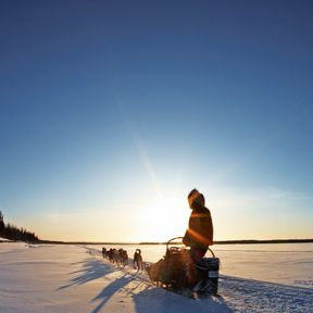 Hundeschlittenfahrt bei Galena, Alaska