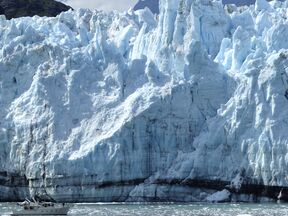 Glacier Bay Tour