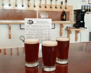 regionen/usa/alaska/haines/spruce-tip-ale-in-der-haines-brewing-company-alaska.cr3950x2629-378x0 regionen/usa/alaska/haines/spruce-tip-ale-in-der-haines-brewing-company-alaska.cr3950x2629-378x0