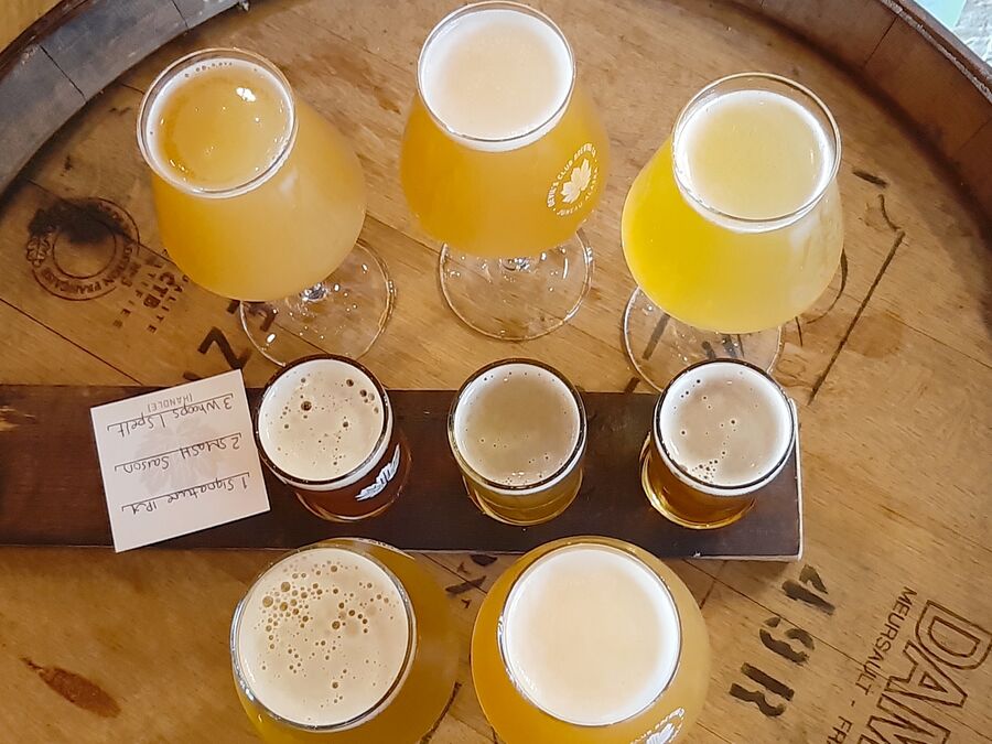 Beer Tasting in der Devil's Club Brewing Company