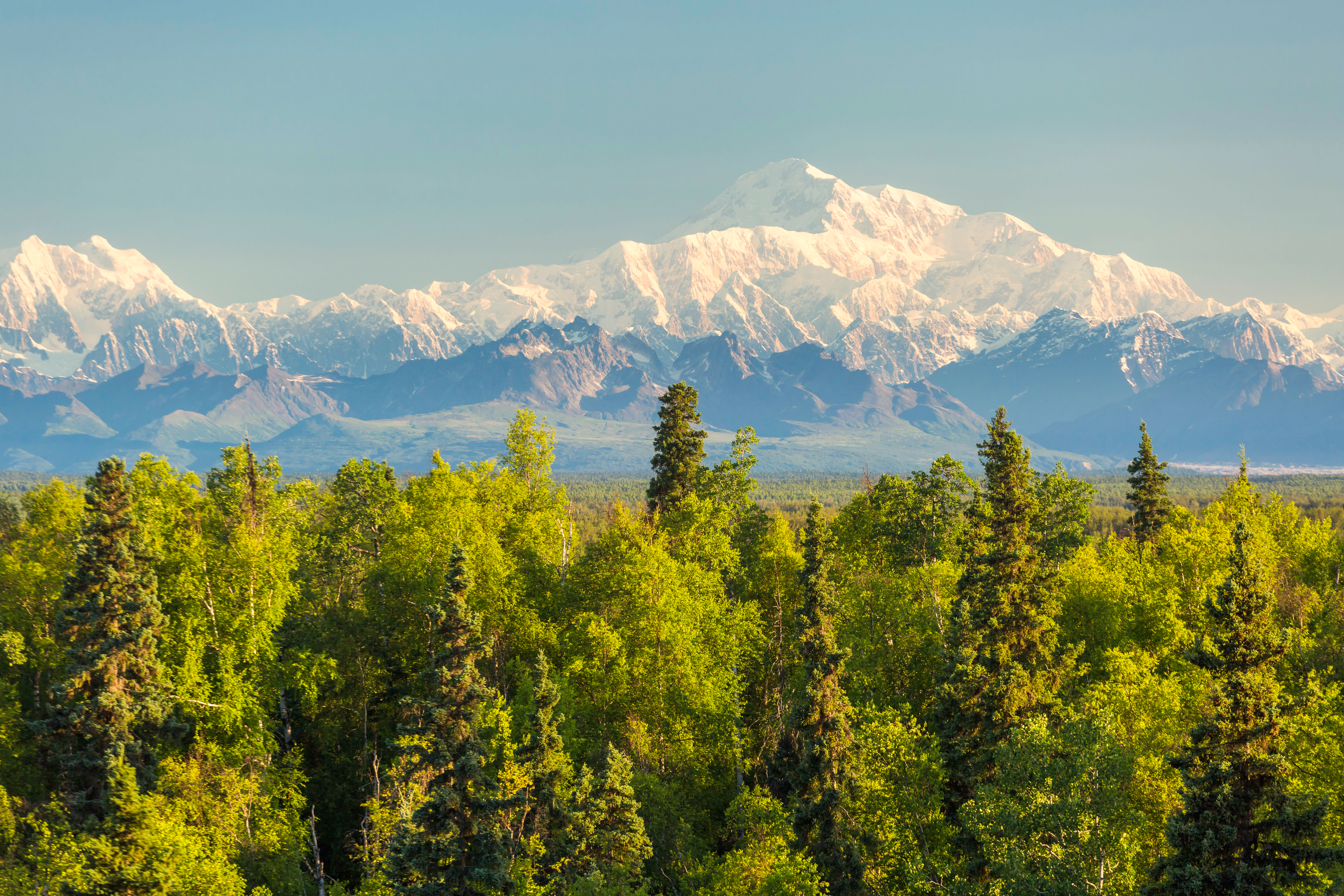 Blick auf die sagenhafte Alaskakette von der Talkeetna Alaskan Lodge aus