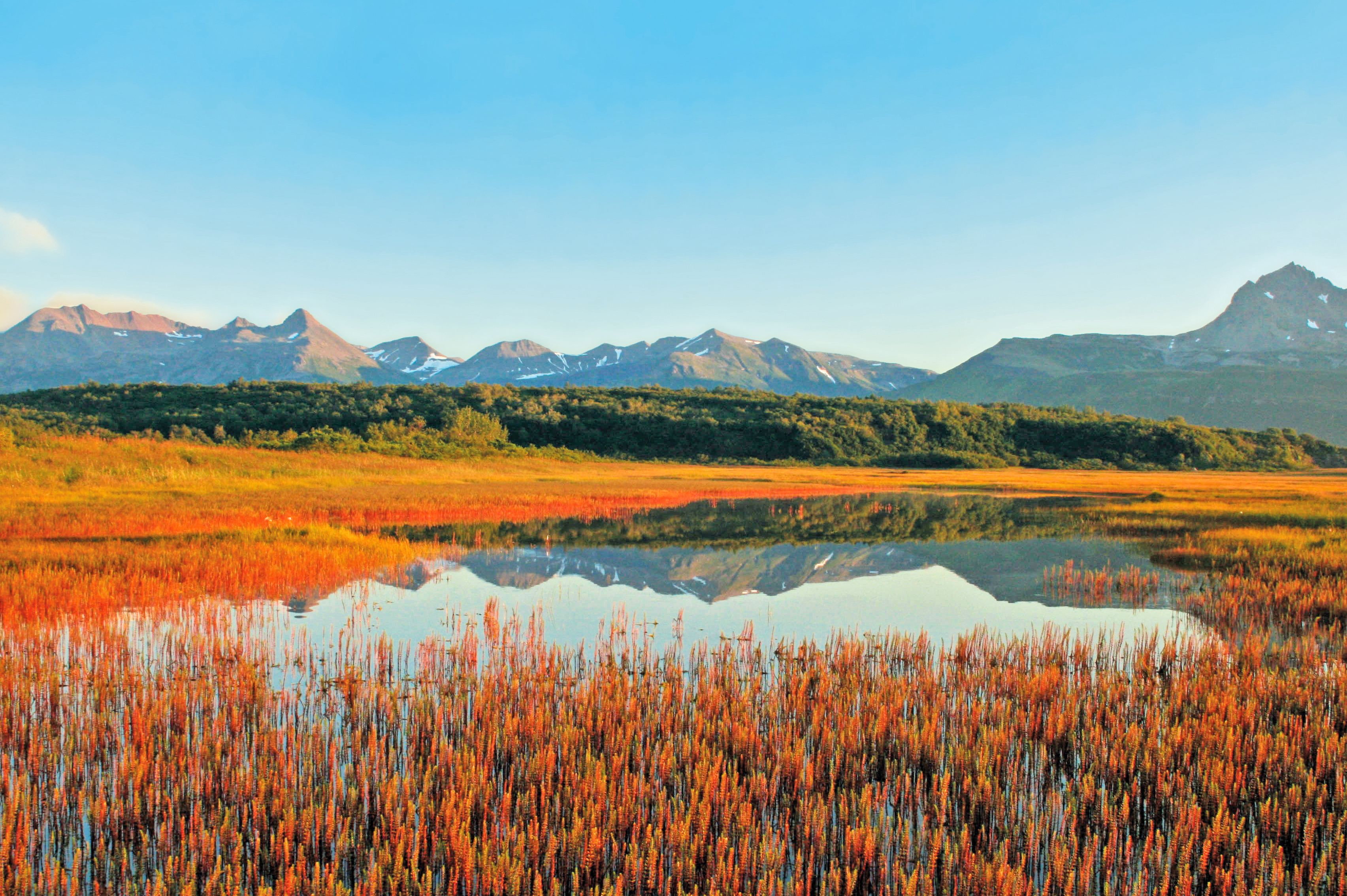 Indian Summer auf der Kenai-Halbinsel