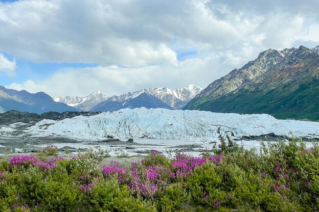 Blick auf den Matanuska Glacier in Alaska im Sommer Blick auf den Matanuska Glacier in Alaska im Sommer