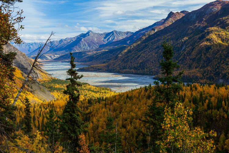 Herrlicher Blick auf den Matanuska River an einem Herbsttag in Alaska