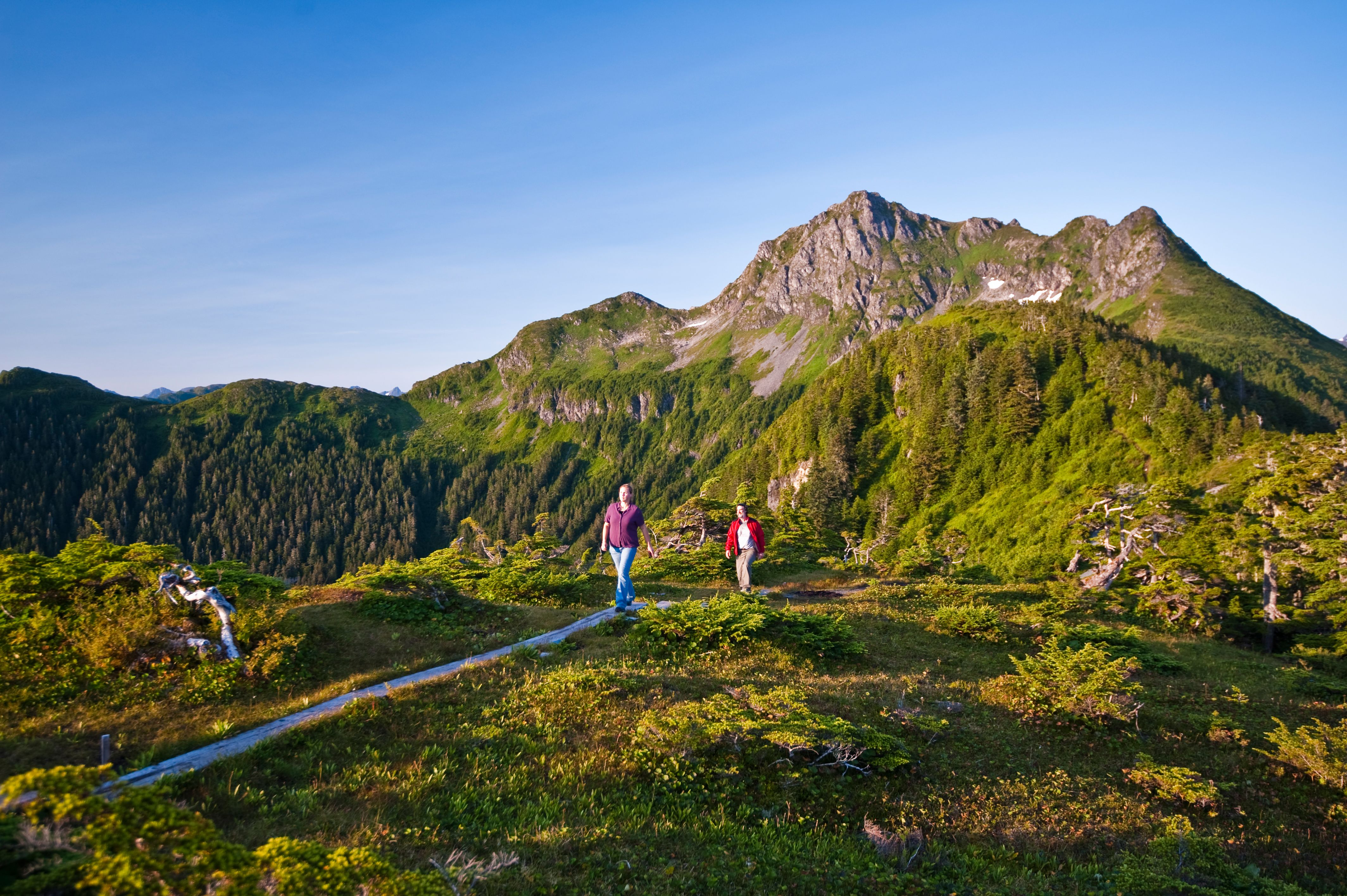 Wanderweg in Sitka, Alaska