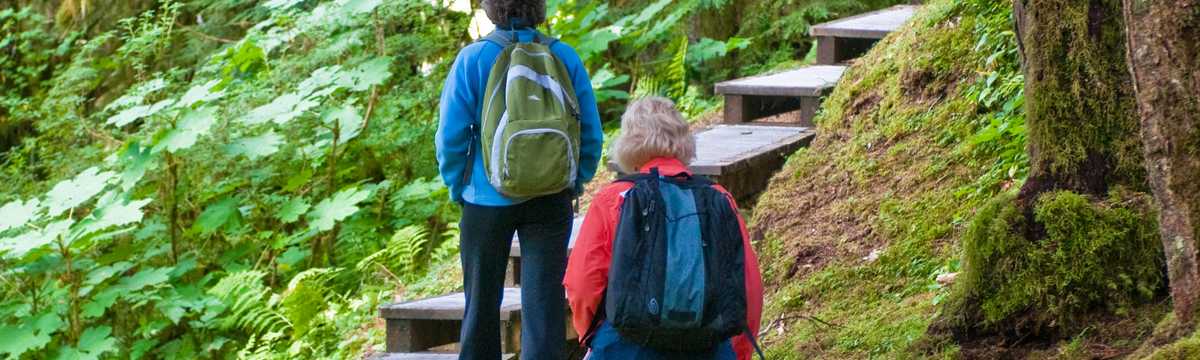 Wanderreisen Im Yukon Und In Alaska Canusa