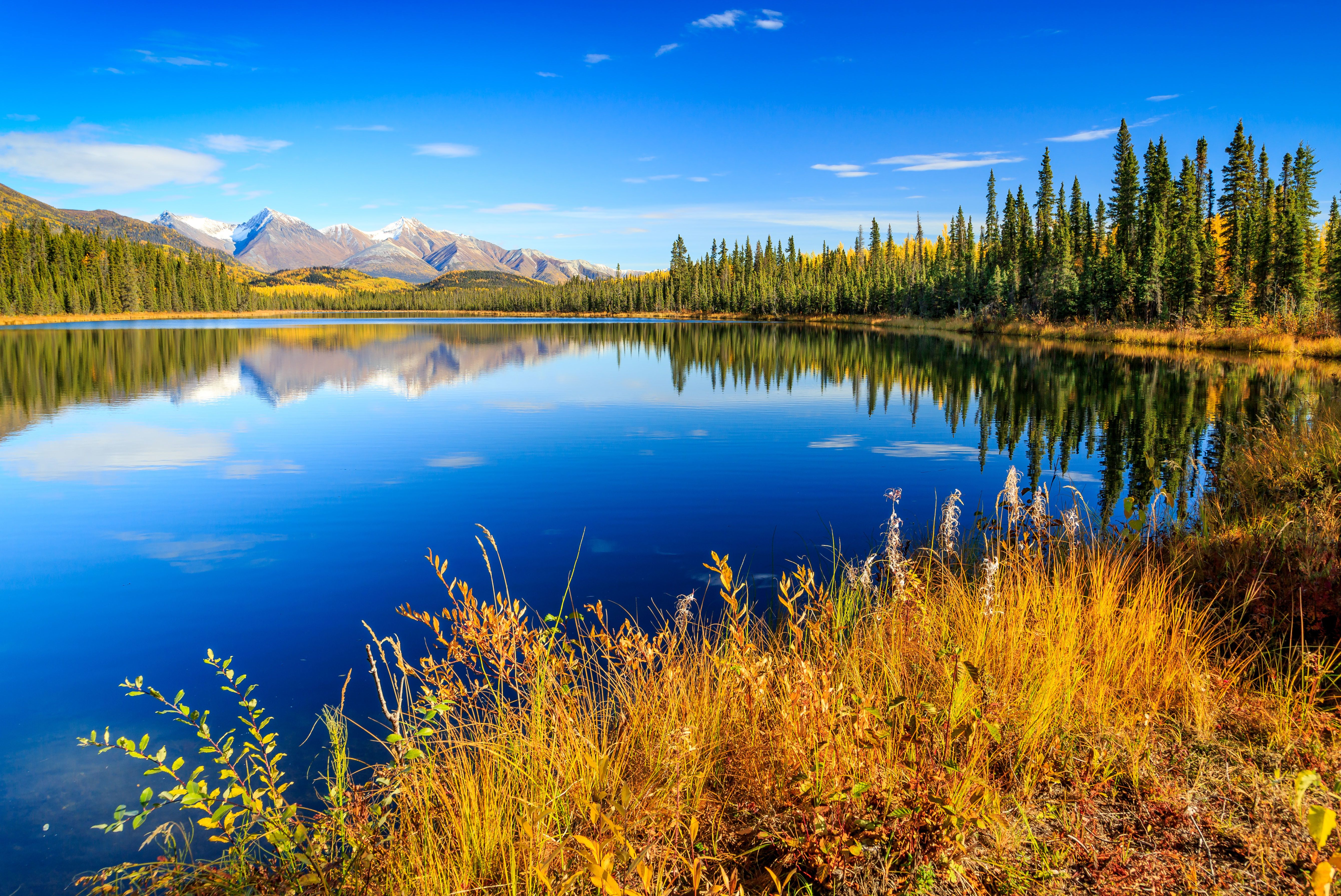 Herbststimmung im Wrangell-St. Elias National Park, Alaska