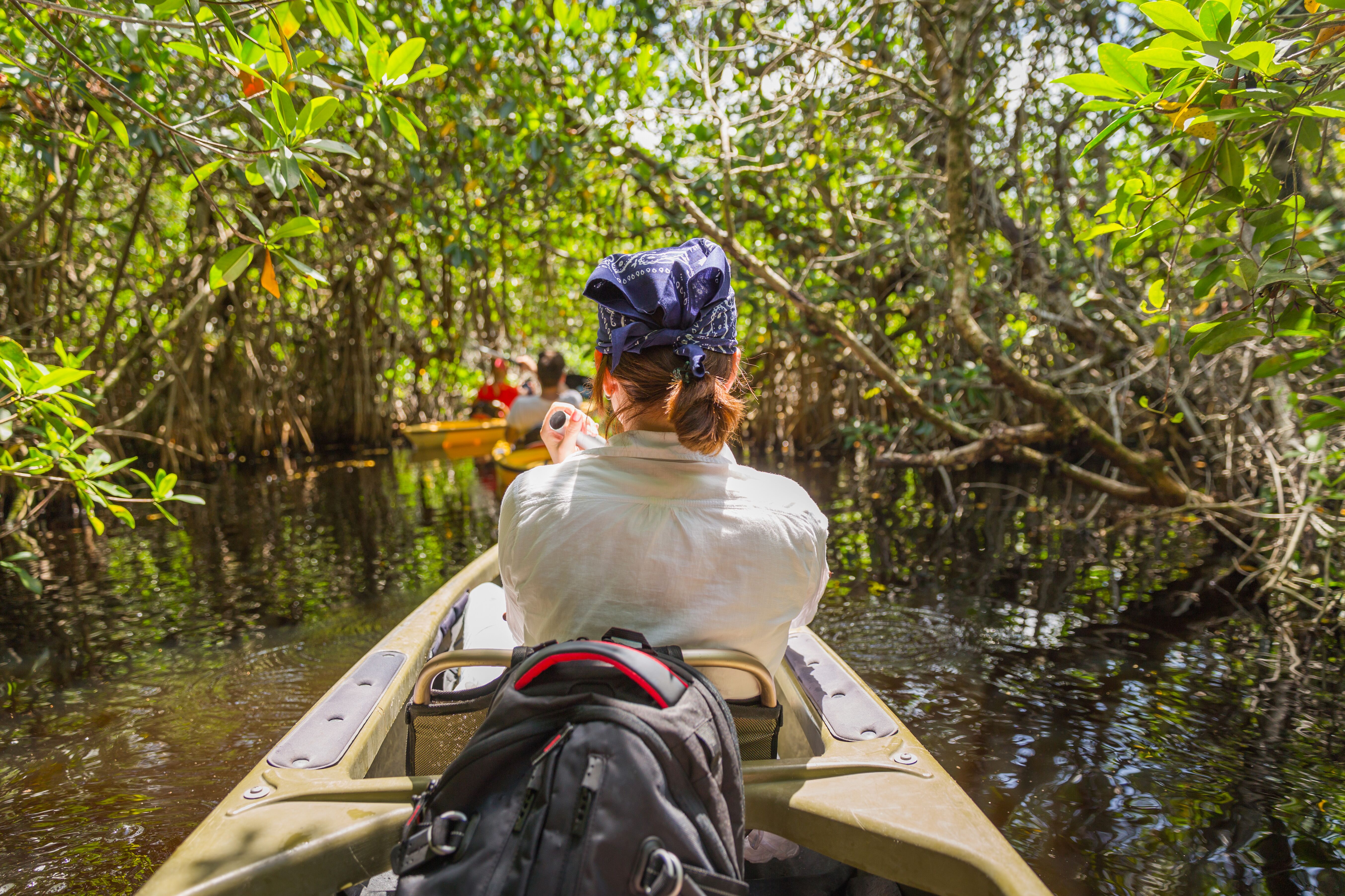 Frau bei einer Kajakfahrt durch Mangrovenwälder in den Everglades