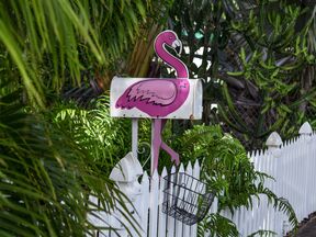 Der Flamingo Briefkasten des Blue Heaven Restaurants in Key West