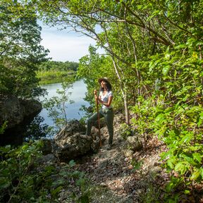 Dagny Johnson Key Largo Hammock Botanical State Park