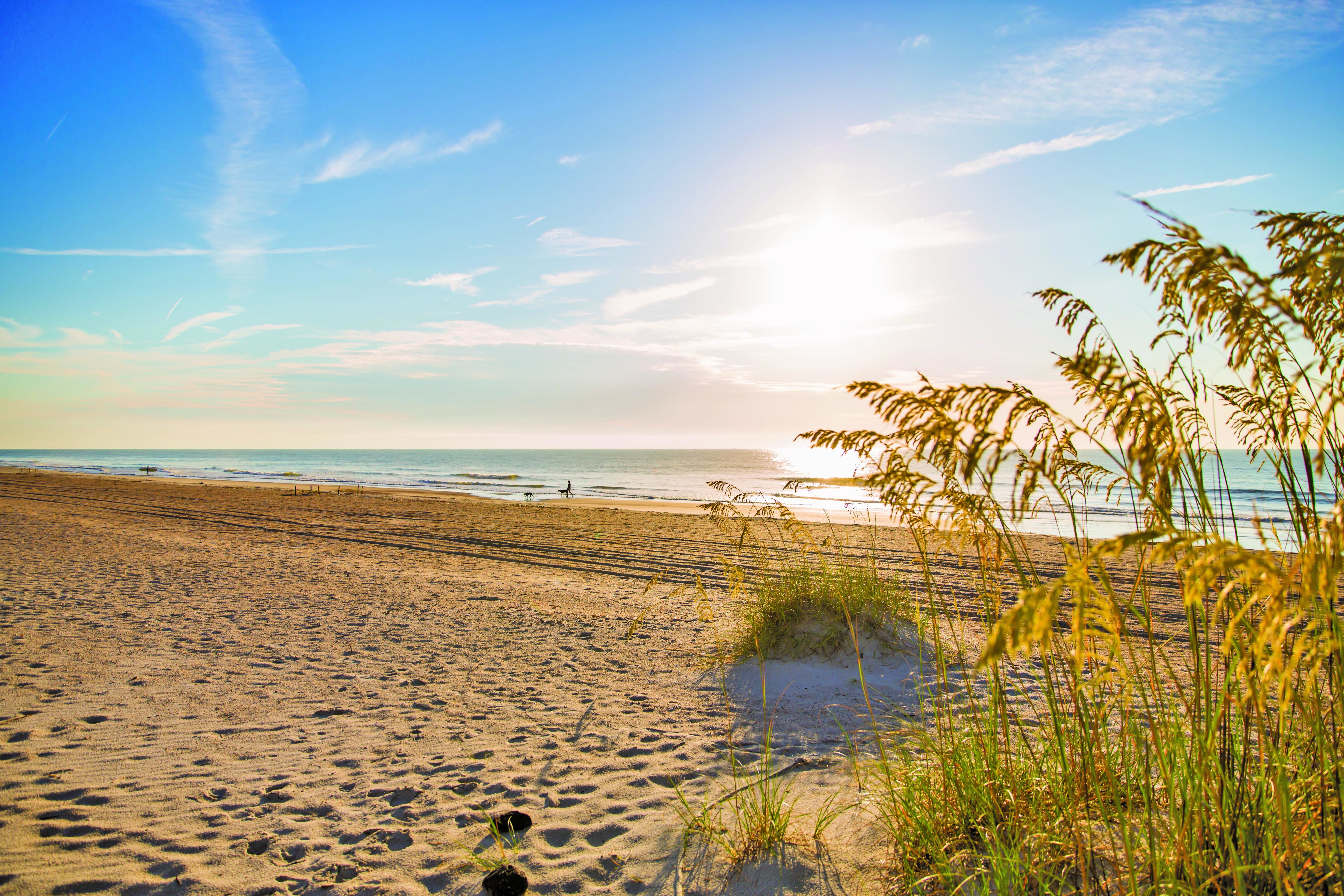 Ein Strandabschnitt von Amelia Island