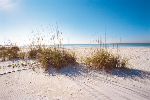 Sanddünen am Bean Point Beach auf Anna Maria Island in Florida