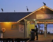 regionen/usa/florida/anna-maria-island/city-pier-restaurant.cr4288x1871-0x793 regionen/usa/florida/anna-maria-island/city-pier-restaurant.cr4288x1871-0x793