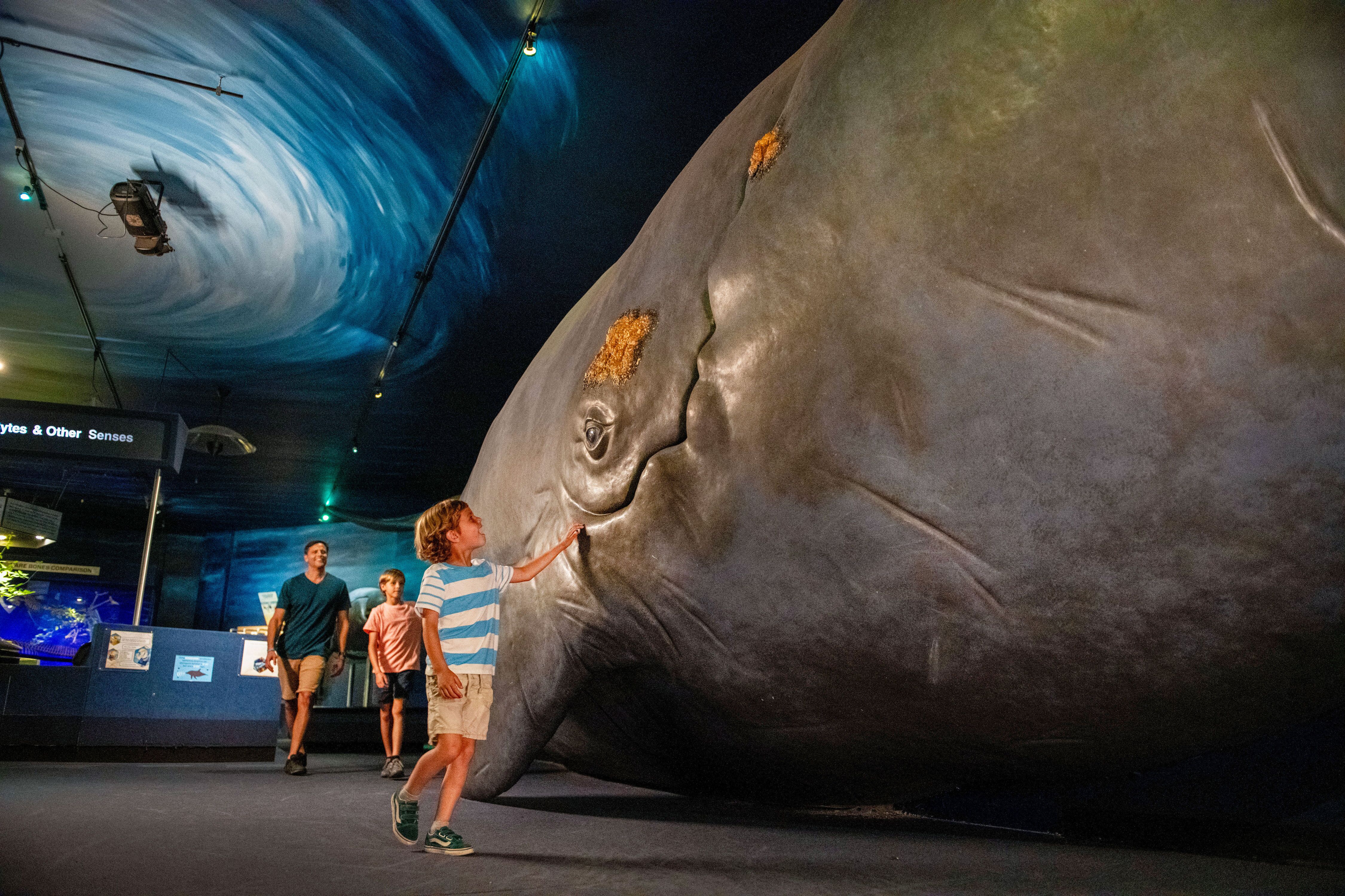 Das Museum of Science in Jacksonville besuchen