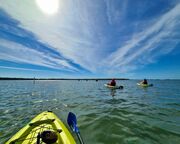 regionen/usa/florida/atlantikkueste/new-smyrna-beach/canaveral-seashore-kajaktour-wasser-menschen regionen/usa/florida/atlantikkueste/new-smyrna-beach/canaveral-seashore-kajaktour-wasser-menschen
