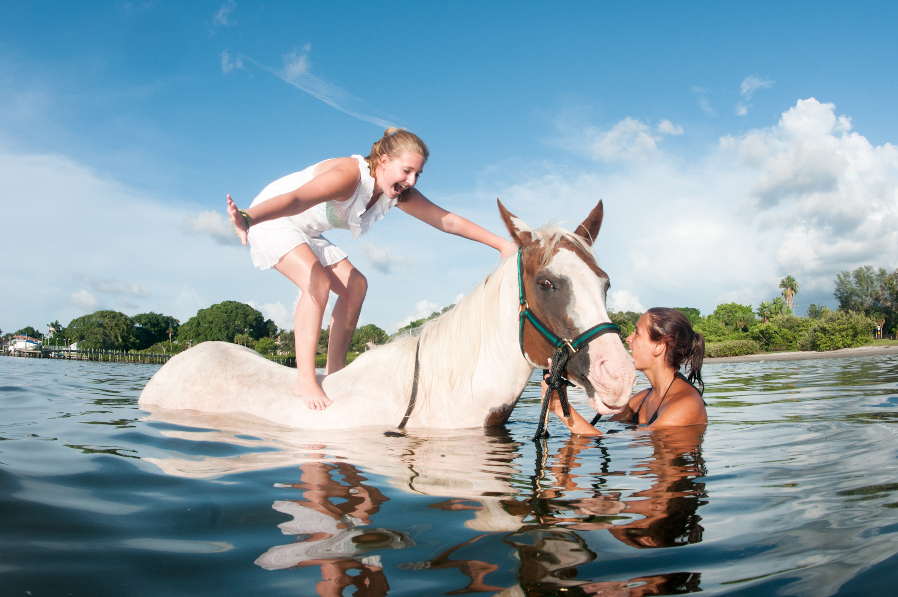 "Horse Surfing" am Stand von Bradenton