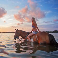regionen/usa/florida/bradenton-area/horse-surfing-sonnenuntergang.cr1404x1403-687x30 regionen/usa/florida/bradenton-area/horse-surfing-sonnenuntergang.cr1404x1403-687x30