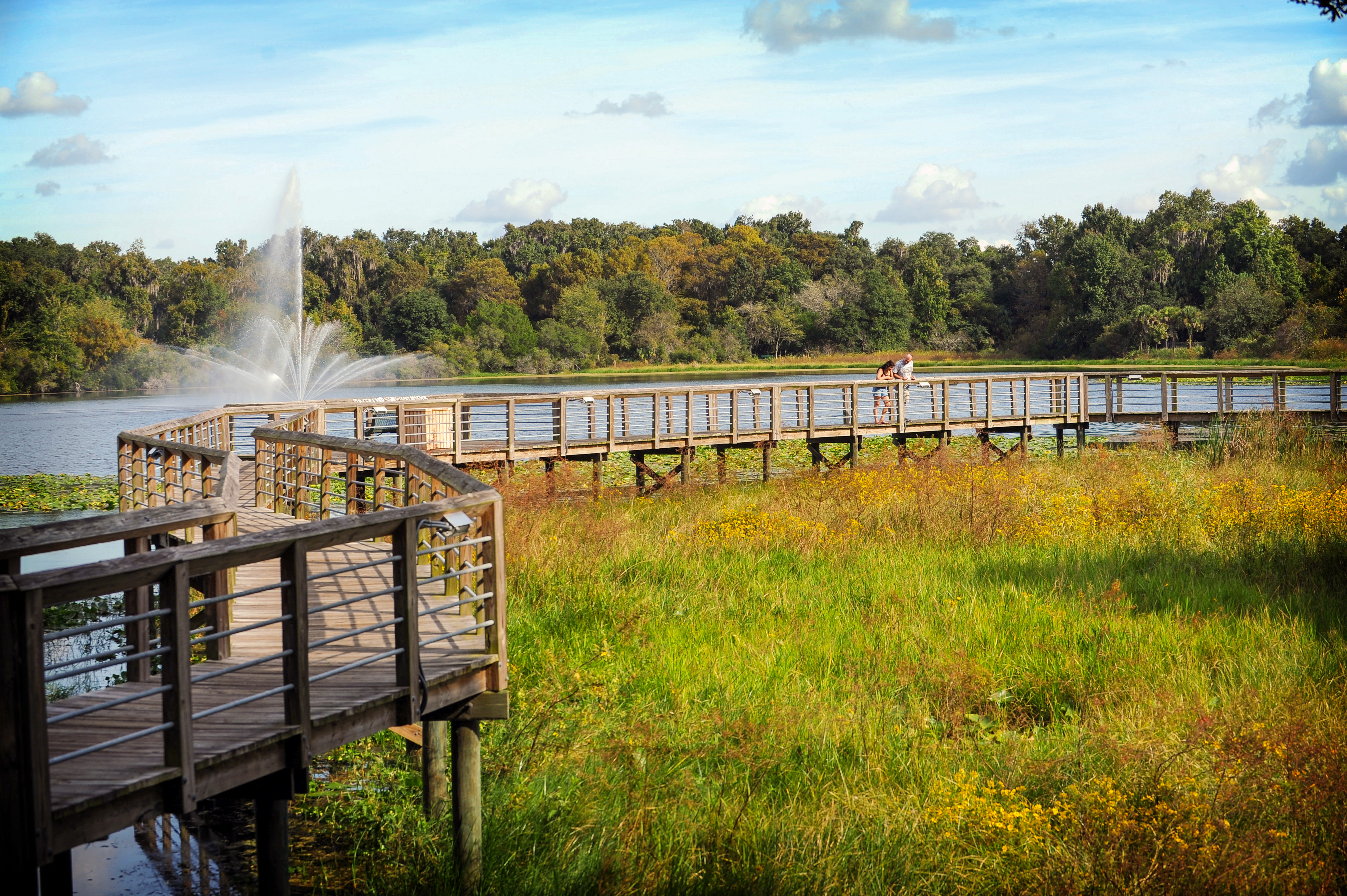 Cooter Pond Park in Inverness, Florida