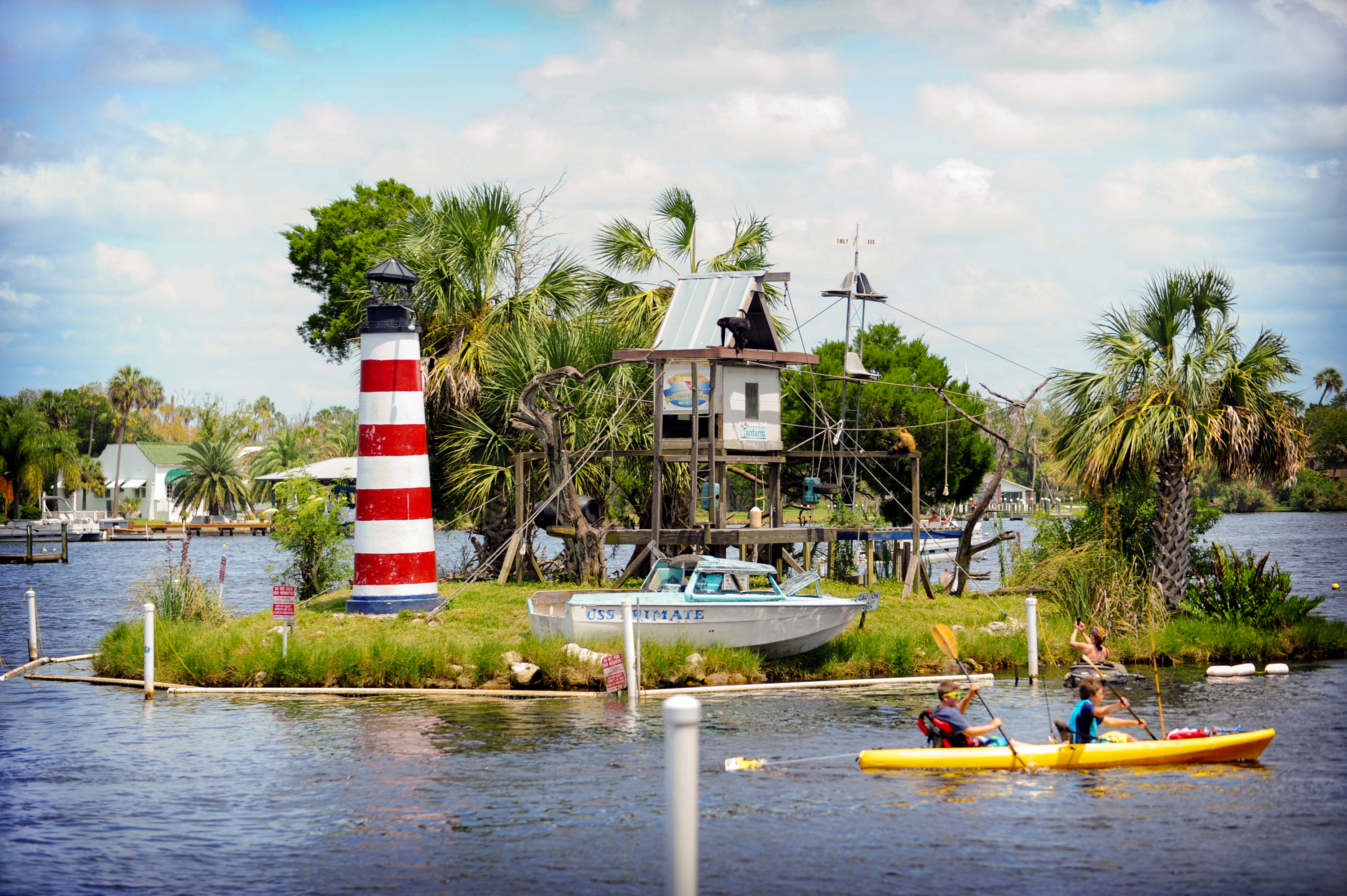 Blick auf kuriose Inseln im Citrus County beim Kayaken bei Crystal River