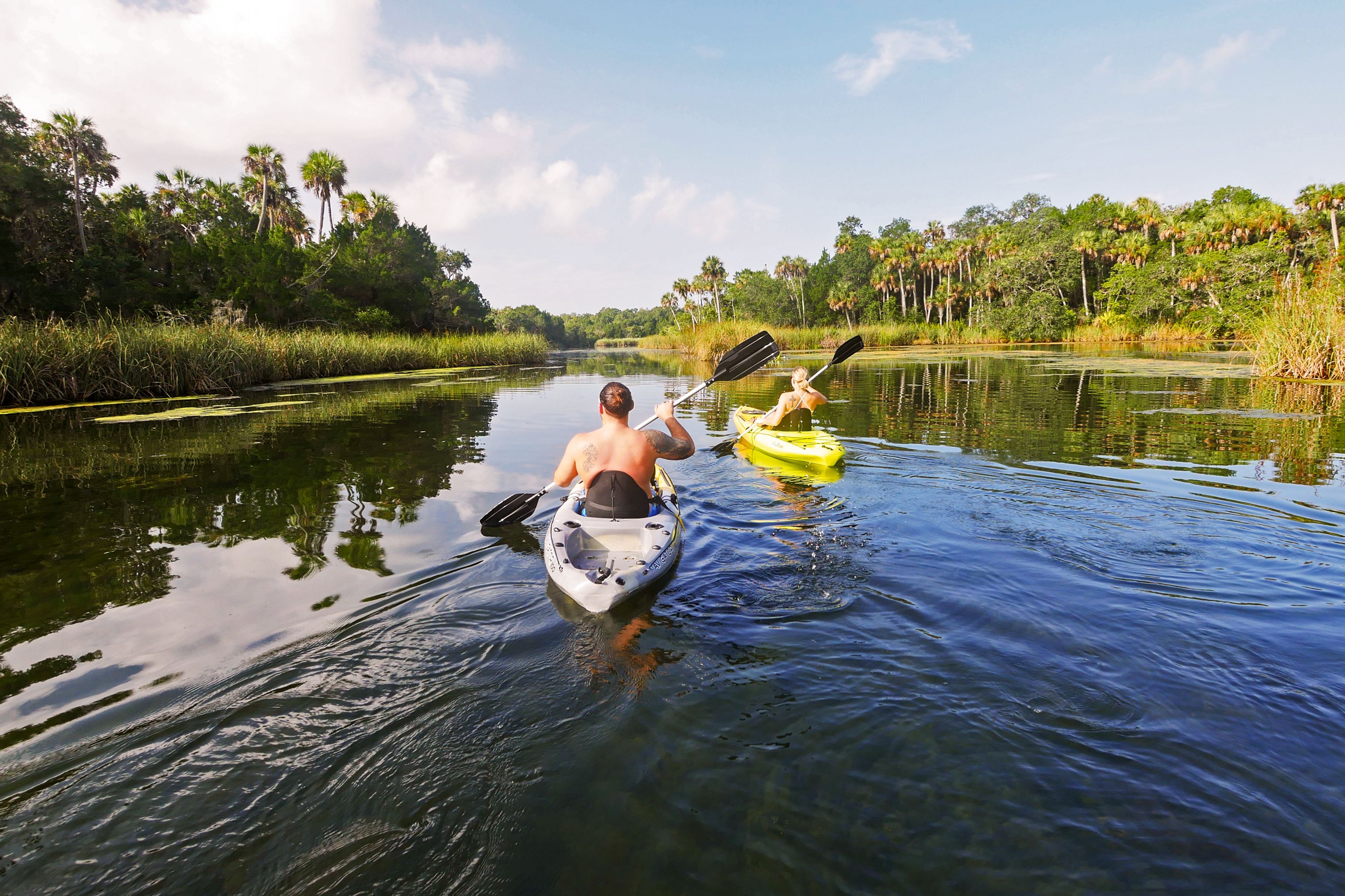 Paddeln mit dem Kayak auf dem ruhigen Halls River bei Crystal River in Florida