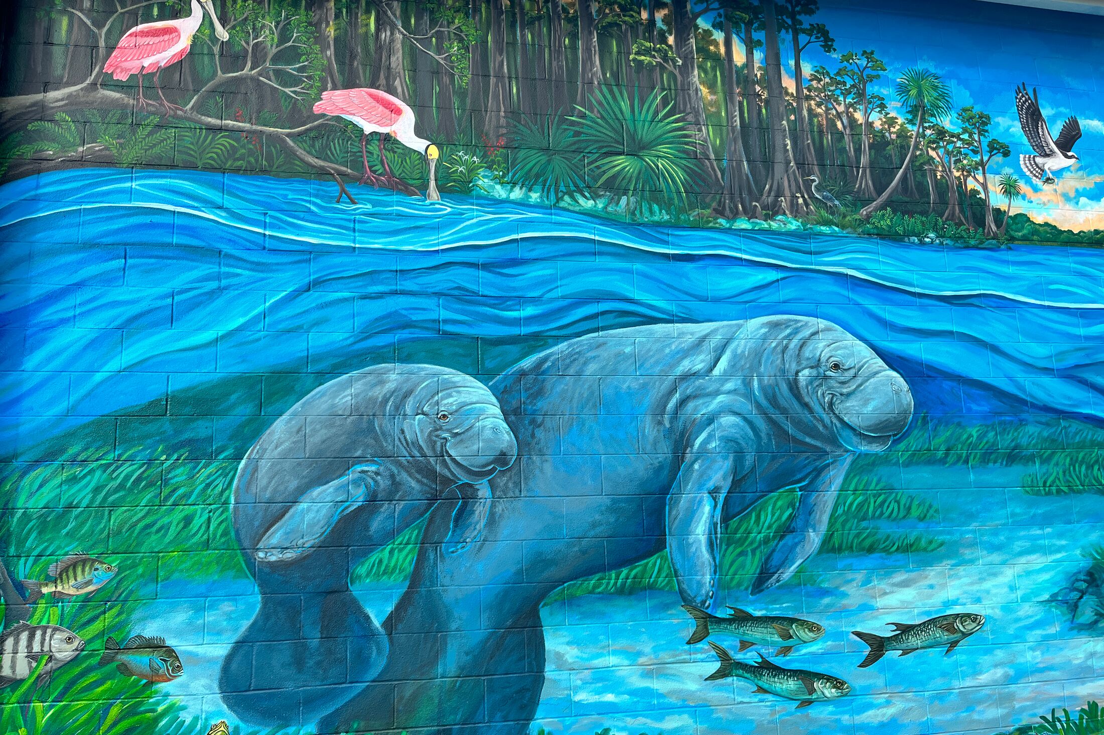 Wandbild in Crystal River