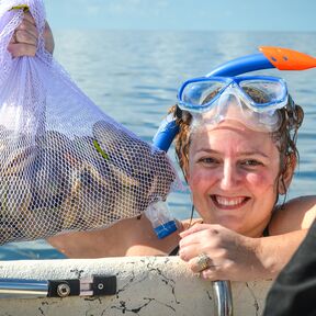 Frau taucht nach Muscheln im Crystal River
