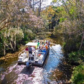 Bootstour im Homosassa Springs Wildlife State Park