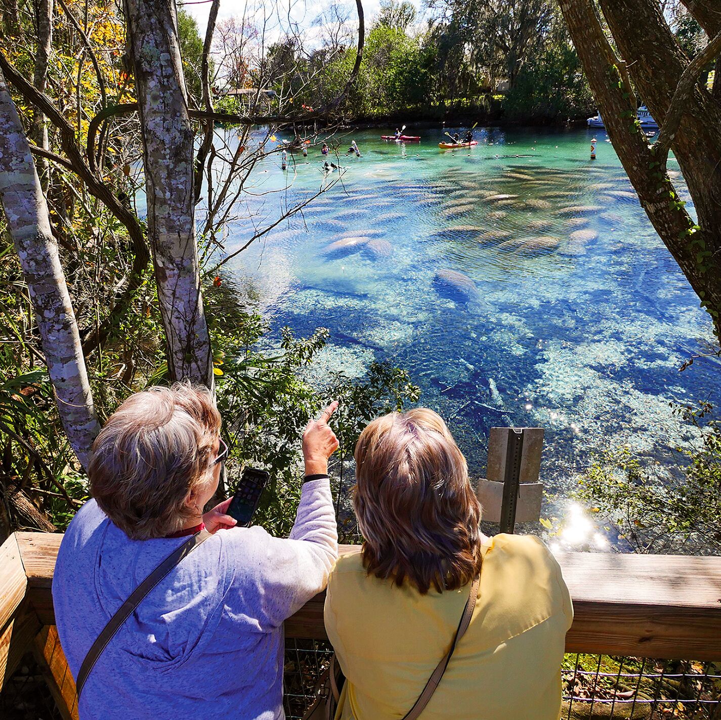 Zwei Frauen beobachten Manatees im Wildpark Three Sisters Springs, Florida