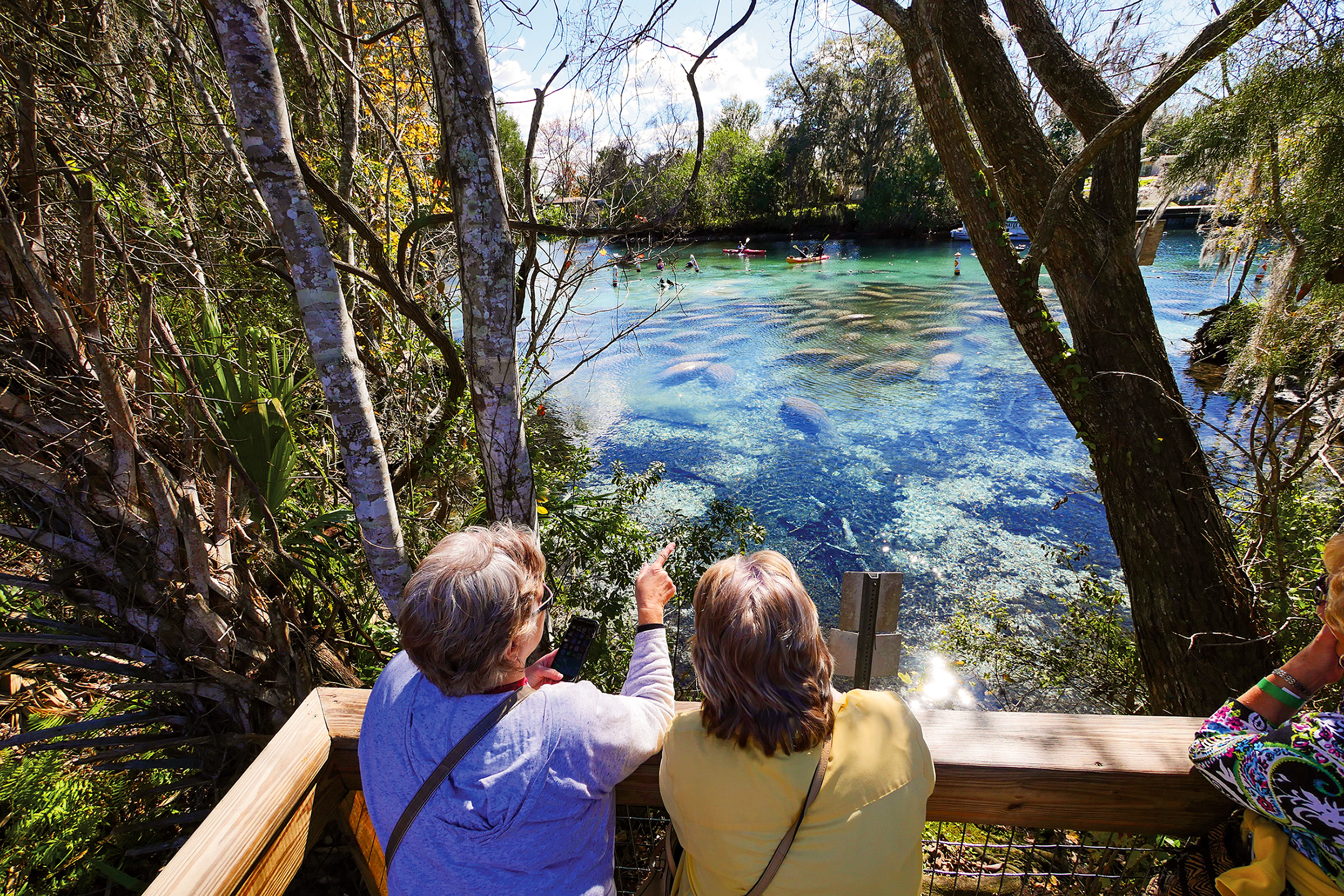 Zwei Frauen beobachten Manatees im Wildpark Three Sisters Springs, Florida