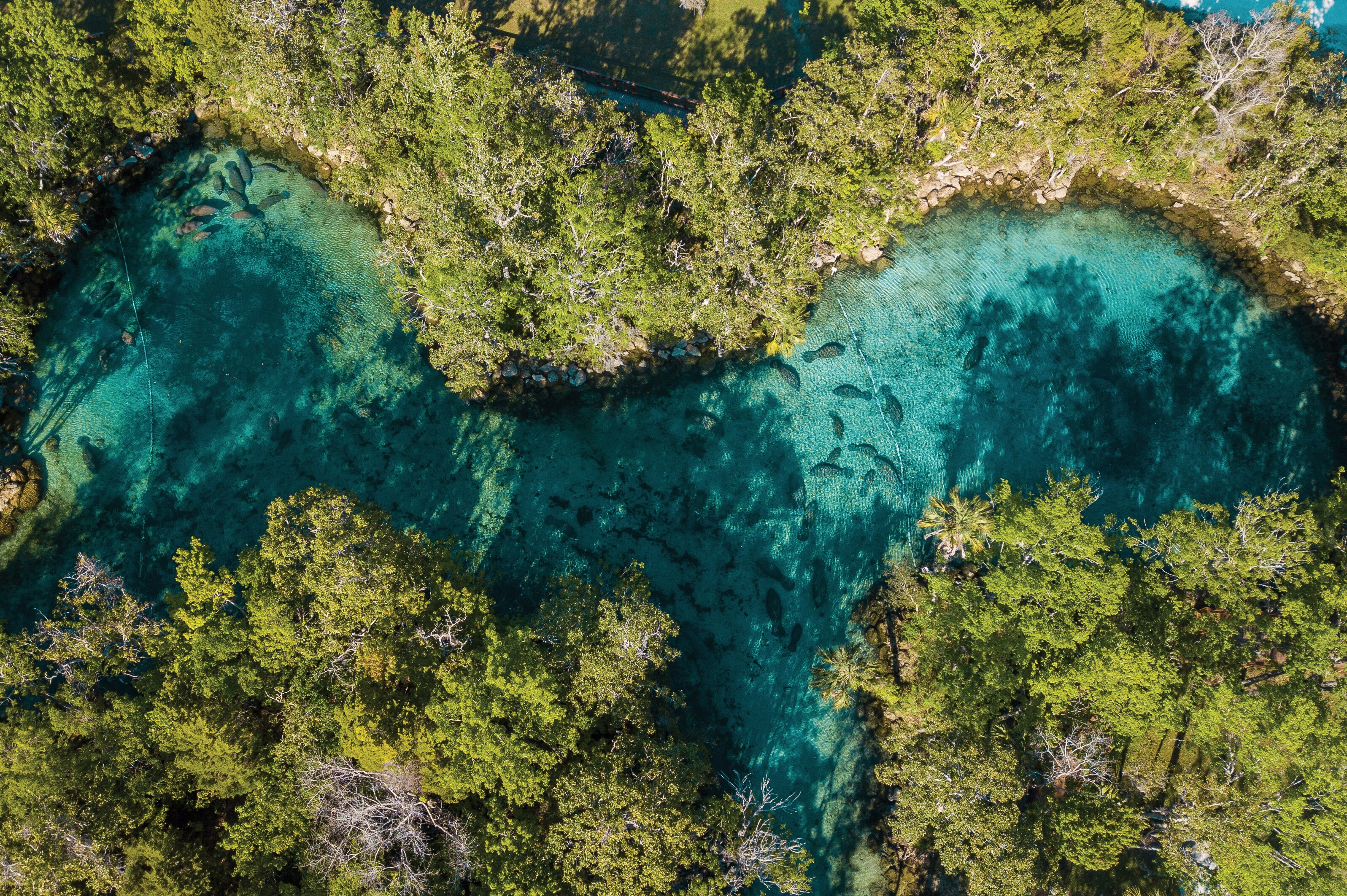 Three Sisters Spring Aerial
